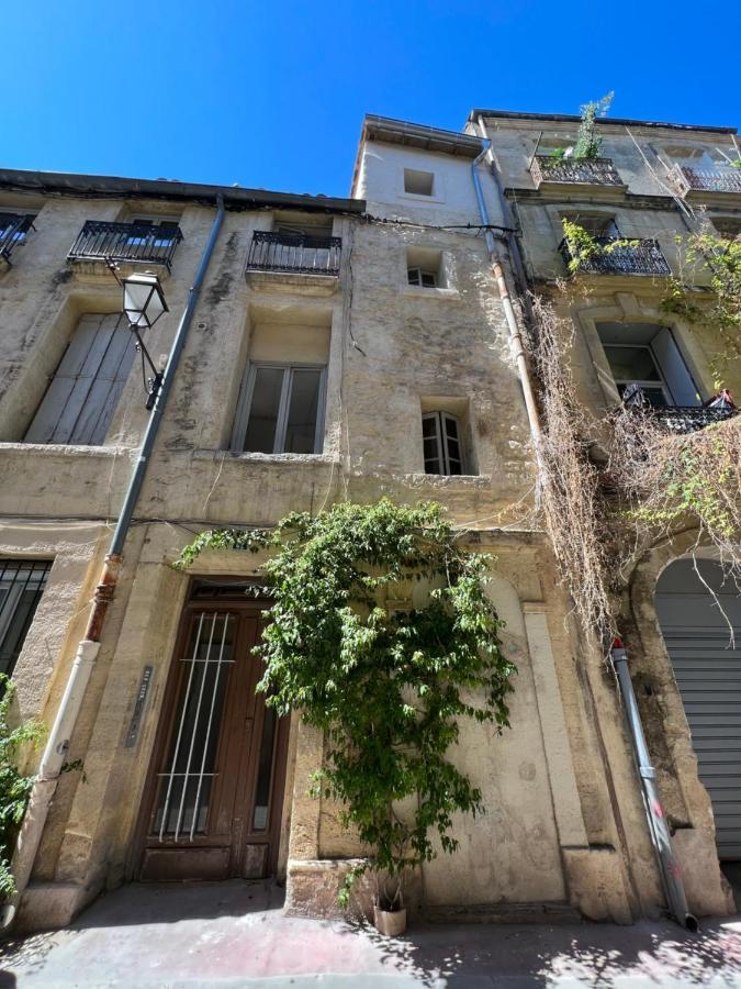 Charmant Studio Au Coeur De L'Ecusson Montpellier Exterior foto